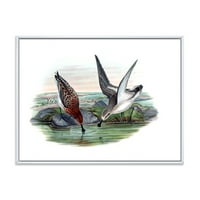 Vintage Countryside Dvije Ptice U Jezeru Uokvireno Slikarstvo Platno Art Print