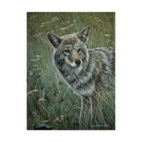 Zaštitni znak likovne umjetnosti' Kojot u travi ' umjetnost na platnu Rona Parkera