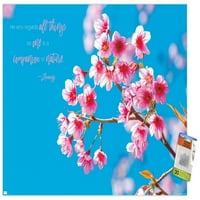 Zen - zidni plakat cvijeta Cherry s pushpinsom, 22.375 34