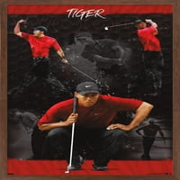 Tiger Woods - skica 24,25 35,75 uokvireni plakat