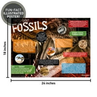 Otkrivanje praistorijskih sluznica i fosila PlaySet