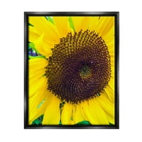 Stupell Industries Close Up Yellow Sunflower Florets Botanička priroda fotografija Jet Black Floating