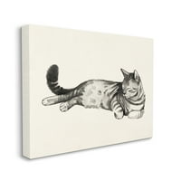 Stupell Industries Sleep Striped Cat Minimalno opušteno PET platno Zidna umjetnost Grace Popp